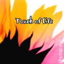 Touch of Life : 