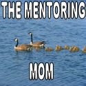 MentoringMom : Even From A Small Town
