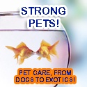 Strong Pets : Raising Happy and Healthy Pets!