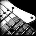 Frets & Strums : The Off-Beat and Out-of-Tune Notes of Violet Gray