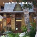 Life, In My Own Backyard : Life Musings