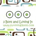 Surviving 3 Boys : 3 Boys, and Loving It!