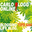 CarloBlogg Online! : SEO to Hobbies Blog