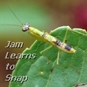 Jam Learns to Snap : Every Picture Has A Story