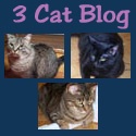 3 Cat Blog : 