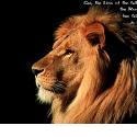 Humbled By Your Majesty : My Christian Journey