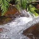 Pachugong : All about Errs