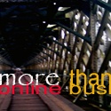 more than online business : business online, internet business,making money