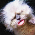 Mouchois : It's so hard being so mighty when you're so tiny...