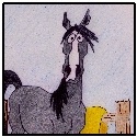 Equine Epiphanies... : 