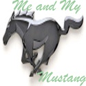 Me and My Mustang : Mustang