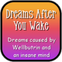 Dreams After You Wake : 