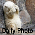 Freaky Humor: Funny Pictures : for your daily dose of weird photos and funny pictures