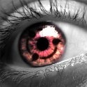 Sunday Night Lightz : Conscious Evolution