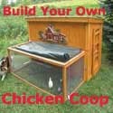 The Chicken Coop Blog : chicken coop, pets, build own chicken coop