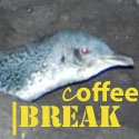 Coffee break : coffee, lifestyle