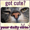 Your Daily Cute : Because sometimes you need your daily dose of cute!
