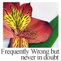Frequently Wrong But Never In Doubt : 