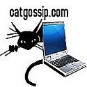 Old Cat Gossip : from Vladimir, Feline Fashionista