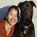 Me and My Dog : Pets, dogs, sports, health, improvements