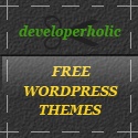 Developerholic : Free Wordpress Themes