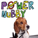 POWER NUBBY! raising money for handicapped and special needs pets : Raising money for handicapped and specialneeds pets