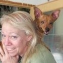 Judy's content @ Triond.com : illness, relationships, human interest, how-tos, crafts, zoology, health, preventative health, spices, herbs, 