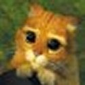 Sandy G. : 