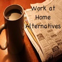 Work at Home Alternatives : 