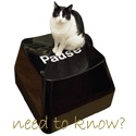 Always need to know? : Curiosity is a sin...