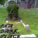 in a dark place : 
