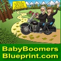 Baby Boomers Blueprint : Take control of your destiny or someone else will
