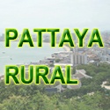 Pattaya Rural : Pattya Country Home