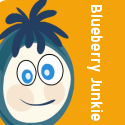 Blueberry Junkie  : Crafting for Babies and Toddlers