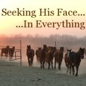 Seeking His Face......In Everything : 