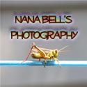 Nana bell's photography : Photos, and Fun