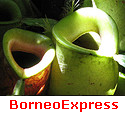 BorneoExpress : everything about Borneo
