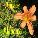 Anna's Alabama : 