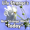Lily's New Strange World Today : What lies beneath the surface of your dreams?