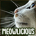 Meowlicious : The Cat Lovers Guild