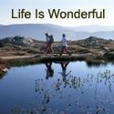 Life Is Wonderful  : 