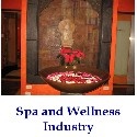 Spa and Wellness Industry : spa, health, wellness, natural cure
