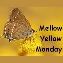 Mellow Yellow Monday : Because life is better with a splash of yellow