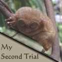 My second trial : Philippines, Sri Lanka, Germany, Photos, 