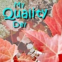 My Quality Day : always something good