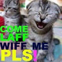 ROFL STUFFZ : How many ROFL's can your body handle? Click here to find out!
