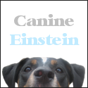 Canine Einstein Dog Training : Cesar, eat your heart out.