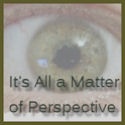 It's All a Matter of Perspective : This blog is 99.3% truth, .7% blatant lies: My perspective on life.