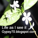 Life as I see it... : Living In Singapore 