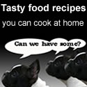 Join Them! : Food, travel, lifestyle